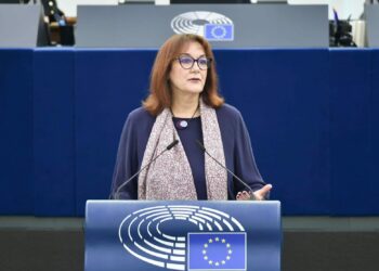 Secretarul de stat Daniela Gîtman a avut o întrevedere cu vicepreședintele CE responsabil pentru democrație și demografie