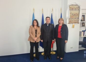 Întrevedere între secretarul de stat Traian Hristea și reprezentantul special al Președinției-în-exercițiu al OSCE