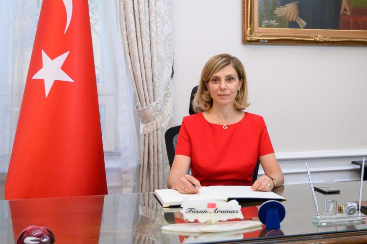 Ministrul Apărării Naționale s-a întâlnit cu ambasadorul Republici Turcia la București, la sediul MApN