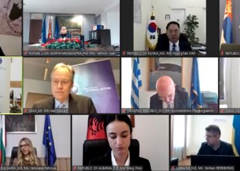 Secretarul de stat Daniela Gîtman a participat la cea de-a 45-a Reuniune a Consiliului ministerial al Organizaţiei de Cooperare Economică la Marea Neagră