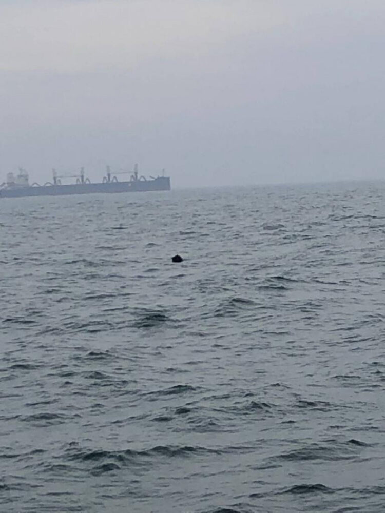 Un cargo turcesc a descoperit o mină marină în apropiere de Portul Constanța