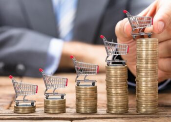 Situația inflației și evoluția prețurilor de consum din noiembrie 2022