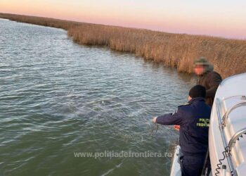 Polițiștii de frontieră au scos peste 1.300 de metri plase monofilament cu 337 de kilograme de pește, din lacul Sinoe