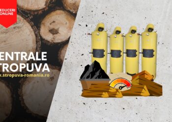Merită să investești în achiziționarea unei centrale pe lemne?