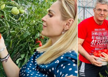 După ce a zburat din Guvern, Gabriela Firea s-a reprofilat pe horticultură!