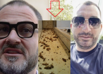 Horia Constantinescu, şeful ANPC, l-a pus la punct pe Pescobar! Apă dintr-un puț și gândaci peste tot, la Taverna Racilor!