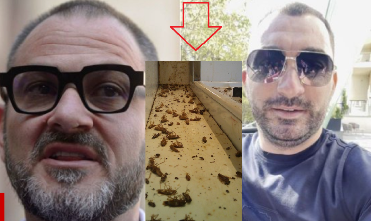 Horia Constantinescu, şeful ANPC, l-a pus la punct pe Pescobar! Apă dintr-un puț și gândaci peste tot, la Taverna Racilor!
