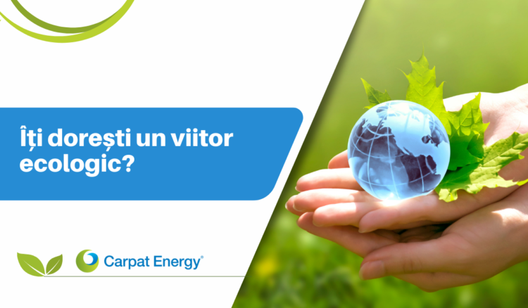 Îți dorești un viitor ecologic? Alege panouri solare