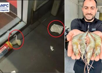 Mii de fraieri s-au intoxicat din cauza lui Pescobar de la „Taverna Racilor”! Câte milioane de euro învârtea afaceristul de carton?