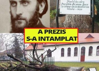 A PREZIS: Stejarul lui Arsenie Boca a căzut din senin. Fusese plantat de el. Prezicerea era legata de..