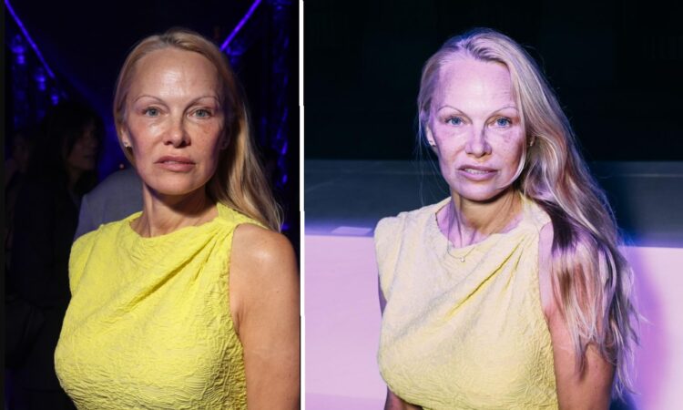 Pamela Anderson nu a îmbătrânit deloc! Deși are 56 de ani, nu-i dai nici 25!