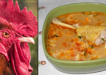 Cea mai bună rețetă de supă de cocoș!