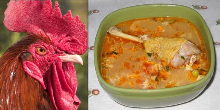 Cea mai bună rețetă de supă de cocoș!