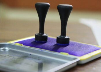 Alegeri comasate, cu cinci buletine de vot