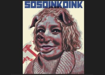 ȘOȘOACĂ nu reprezintă în niciun fel curentul suveranist! Cine votează SOS își irosește voturile către mafia PSD-PNL!