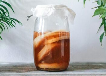 Cultura de Kombucha – remediu pentru problemele digestive
