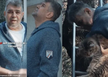 Cât costă hanoracul lui Ciolacu purtat ca să dea pisica de 1300 de euro din copac?