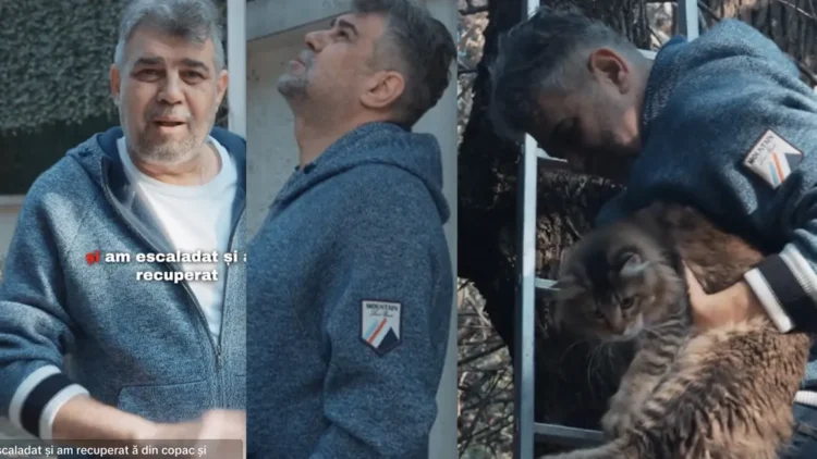 Cât costă hanoracul lui Ciolacu purtat ca să dea pisica de 1300 de euro din copac?