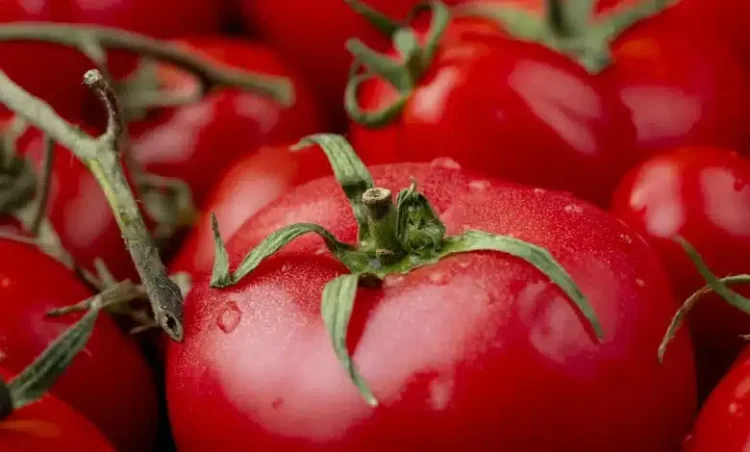 De ce statul român își trădează fermierii, încurajând importul de roșii?