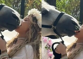 Loredana Groza, surprinsă sărutând lasciv un cal! „Între noi fie vorba, acesta nu a fost singurul…”