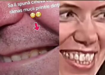 Nicușor Dan și concubina sa Mirabela au de departe cel mai frumos și mai curat zâmbet din România!