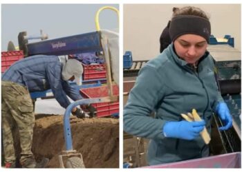 Tinerii români, ”transformați în sclavi pe plantațiile lui Macron și ale Ursulei”